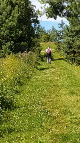 Langs Husebyskogen